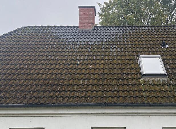 Tagrens af tegltag, før